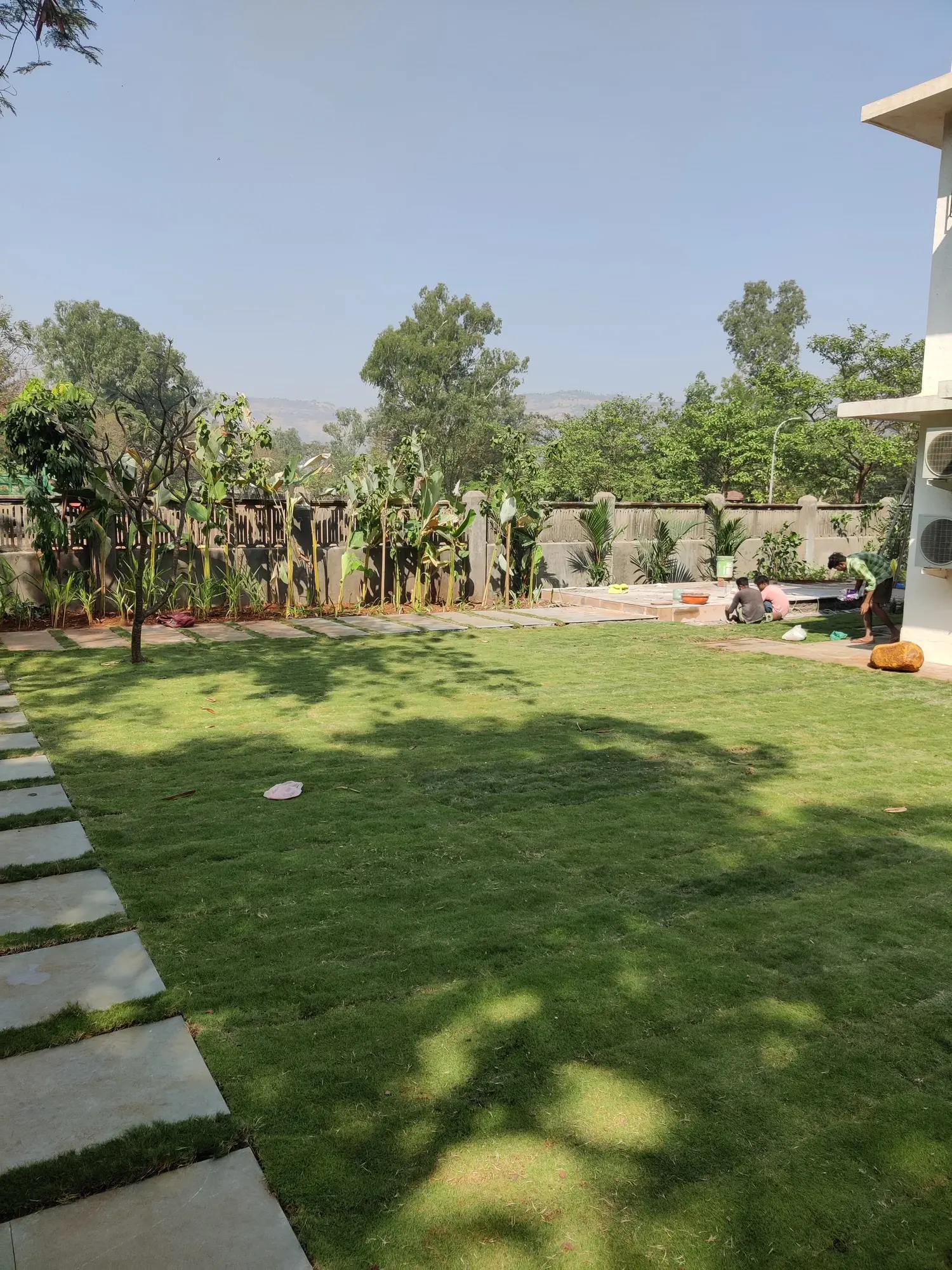 e2db2a4a-1b7d-475c-9f2f-f6046d2ee28d_50